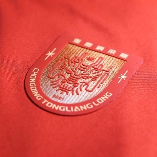 成都蓉城祝賀銅梁龍沖超：期待我們明年中超賽場見